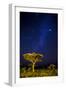 Africa. Tanzania. The Milky Way illuminate the night sky at Ndutu in Serengeti National Park.-Ralph H. Bendjebar-Framed Photographic Print