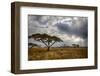 Africa. Tanzania. Views of the savanna, Serengeti National Park.-Ralph H. Bendjebar-Framed Photographic Print