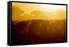 Africa. Tanzania. Wildebeest during the Migration, Serengeti National Park.-Ralph H. Bendjebar-Framed Stretched Canvas