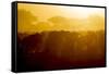 Africa. Tanzania. Wildebeest during the Migration, Serengeti National Park.-Ralph H. Bendjebar-Framed Stretched Canvas