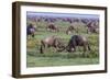 Africa. Tanzania. Wildebeest fighting during the Migration, Serengeti National Park.-Ralph H. Bendjebar-Framed Photographic Print