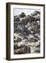 Africa. Tanzania. Wildebeest herd crossing the Mara River, Serengeti National Park.-Ralph H. Bendjebar-Framed Photographic Print