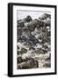 Africa. Tanzania. Wildebeest herd crossing the Mara River, Serengeti National Park.-Ralph H. Bendjebar-Framed Photographic Print