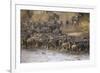 Africa. Tanzania. Wildebeest herd crossing the Mara River, Serengeti National Park.-Ralph H. Bendjebar-Framed Photographic Print