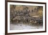 Africa. Tanzania. Wildebeest herd crossing the Mara River, Serengeti National Park.-Ralph H. Bendjebar-Framed Photographic Print