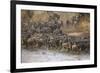 Africa. Tanzania. Wildebeest herd crossing the Mara River, Serengeti National Park.-Ralph H. Bendjebar-Framed Photographic Print