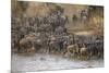 Africa. Tanzania. Wildebeest herd crossing the Mara River, Serengeti National Park.-Ralph H. Bendjebar-Mounted Photographic Print