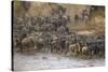 Africa. Tanzania. Wildebeest herd crossing the Mara River, Serengeti National Park.-Ralph H. Bendjebar-Stretched Canvas