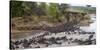 Africa. Tanzania. Wildebeest herd crossing the Mara River, Serengeti National Park.-Ralph H. Bendjebar-Stretched Canvas