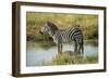 Africa, Tanzania, zebra-Lee Klopfer-Framed Photographic Print