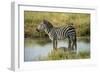 Africa, Tanzania, zebra-Lee Klopfer-Framed Photographic Print