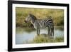 Africa, Tanzania, zebra-Lee Klopfer-Framed Photographic Print