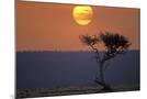 Wood Mount