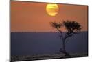 Wood Mount