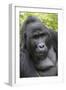 Africa, Uganda, Bwindi Impenetrable Forest and National Park. Mountain gorillas.-Emily Wilson-Framed Photographic Print