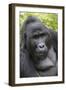 Africa, Uganda, Bwindi Impenetrable Forest and National Park. Mountain gorillas.-Emily Wilson-Framed Premium Photographic Print