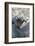 Africa, Uganda, Kibale Forest National Park. Foot of a Chimpanzee.-Emily Wilson-Framed Photographic Print