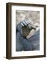 Africa, Uganda, Kibale Forest National Park. Foot of a Chimpanzee.-Emily Wilson-Framed Photographic Print