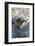 Africa, Uganda, Kibale Forest National Park. Foot of a Chimpanzee.-Emily Wilson-Framed Photographic Print