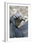 Africa, Uganda, Kibale Forest National Park. Foot of a Chimpanzee.-Emily Wilson-Framed Photographic Print