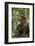 Africa, Uganda, Kibale National Park. A male chimpanzee observing his surroundings.-Kristin Mosher-Framed Photographic Print