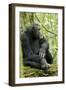 Africa, Uganda, Kibale National Park. Wild male chimpanzee sits on a log.-Kristin Mosher-Framed Photographic Print