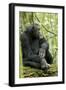 Africa, Uganda, Kibale National Park. Wild male chimpanzee sits on a log.-Kristin Mosher-Framed Photographic Print