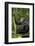 Africa, Uganda, Kibale National Park. Young chimpanzee listening.-Kristin Mosher-Framed Photographic Print