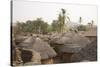 Africa, West Africa, Benin, Beri. Thatched rooves of traditional dwellings in front of palm trees.-Alida Latham-Stretched Canvas