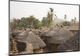 Africa, West Africa, Benin, Beri. Thatched rooves of traditional dwellings in front of palm trees.-Alida Latham-Mounted Photographic Print