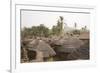 Africa, West Africa, Benin, Beri. Thatched rooves of traditional dwellings in front of palm trees.-Alida Latham-Framed Photographic Print