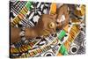 Africa, West Africa, Ghana, Kumasi. Close-up of cheif's jewelry and dress-Alida Latham-Stretched Canvas