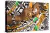 Africa, West Africa, Ghana, Kumasi. Close-up of cheif's jewelry and dress-Alida Latham-Stretched Canvas