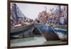 Africa, Western Sahara, Dakhla. Group of Rusting and Aged Fishing Boats-Alida Latham-Framed Photographic Print