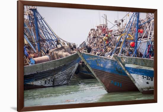 Africa, Western Sahara, Dakhla. Group of Rusting and Aged Fishing Boats-Alida Latham-Framed Photographic Print