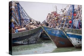 Africa, Western Sahara, Dakhla. Group of Rusting and Aged Fishing Boats-Alida Latham-Stretched Canvas