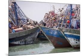 Africa, Western Sahara, Dakhla. Group of Rusting and Aged Fishing Boats-Alida Latham-Mounted Premium Photographic Print