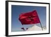 Africa, Western Sahara, Dakhla. the Flag of Morocco Blowing in the Wind-Alida Latham-Framed Photographic Print