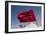 Africa, Western Sahara, Dakhla. the Flag of Morocco Blowing in the Wind-Alida Latham-Framed Photographic Print