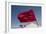 Africa, Western Sahara, Dakhla. the Flag of Morocco Blowing in the Wind-Alida Latham-Framed Photographic Print