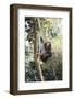 Africa, Young Female Chimpanzee Holding Tree Trunk-Kristin Mosher-Framed Photographic Print