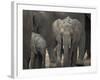 Africa, Zambia. Elephant Adults and Young-Jaynes Gallery-Framed Photographic Print