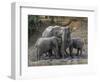 Africa, Zambia. Elephants on Zambezi River Bank-Jaynes Gallery-Framed Photographic Print