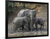 Africa, Zambia. Elephants on Zambezi River Bank-Jaynes Gallery-Framed Photographic Print