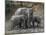 Africa, Zambia. Elephants on Zambezi River Bank-Jaynes Gallery-Mounted Photographic Print