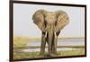 Africa, Zambia. Front View of Elephant-Jaynes Gallery-Framed Photographic Print