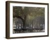 Africa, Zambia. Herd of Cape Buffaloes-Jaynes Gallery-Framed Photographic Print