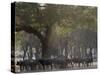 Africa, Zambia. Herd of Cape Buffaloes-Jaynes Gallery-Stretched Canvas