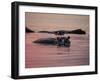 Africa, Zambia. Hippos in River at Sunset-Jaynes Gallery-Framed Photographic Print