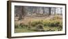 Africa, Zambia. Impala Leaping-Jaynes Gallery-Framed Photographic Print